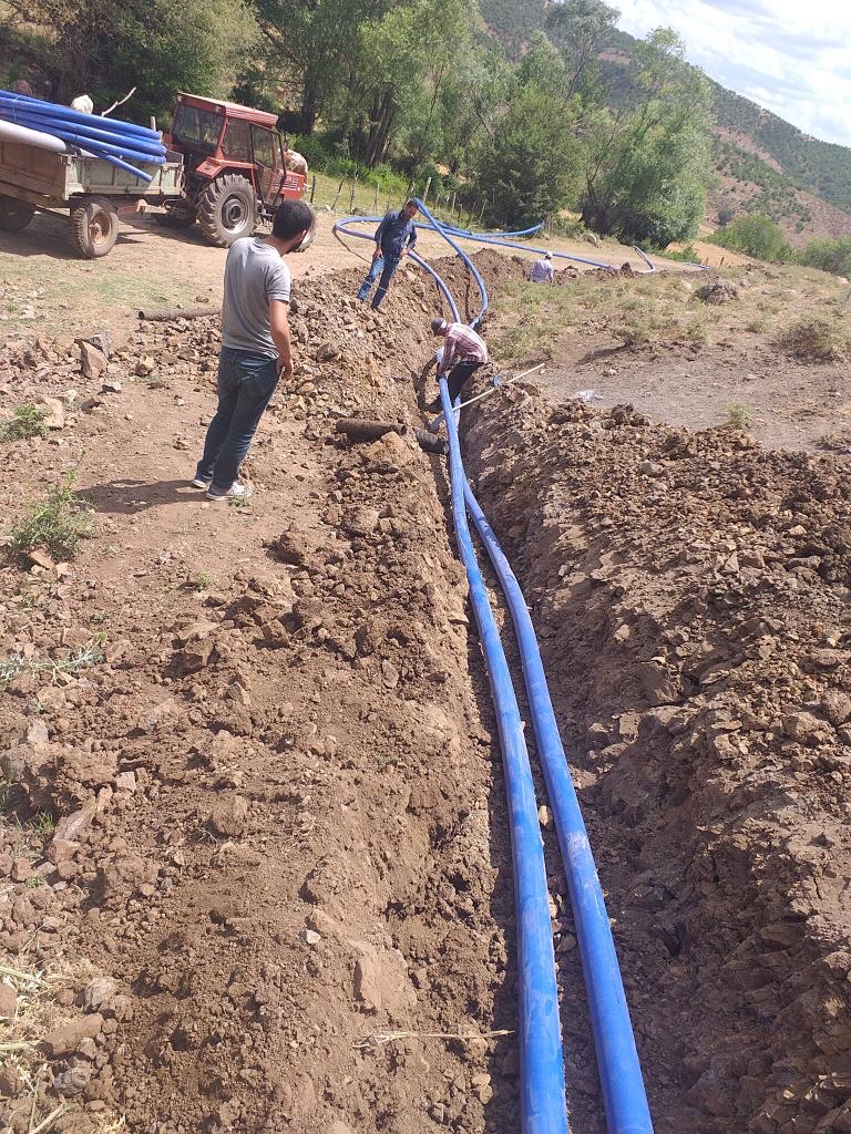 Proje 1
